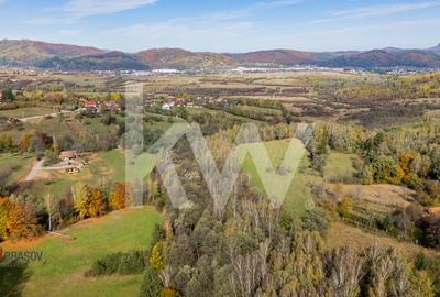 Vanzare teren intravilan 37723 mp Zarnesti Tohanita - 9