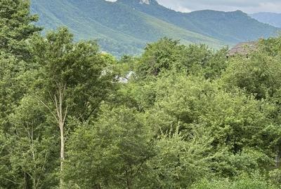 Teren  Bran/Predelut - 5