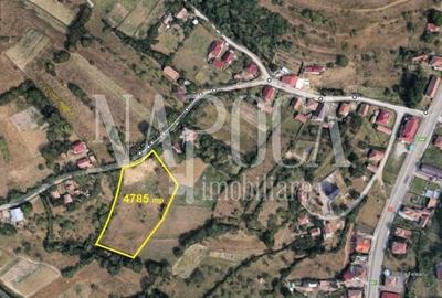 Teren Construcții intravilan de 4785 mp, în Feleacu - 1