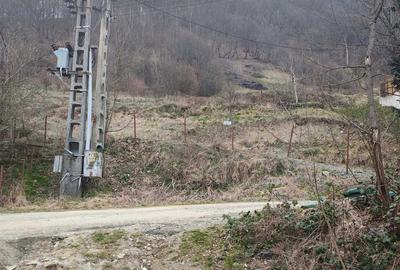 Spațiu comercial, în Lăpuștești - 2