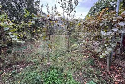 Casă cu 4 camere cu Teren 720 Mp în Micești - 2