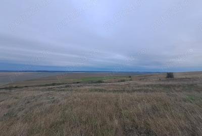 Teren în Ograda - 1