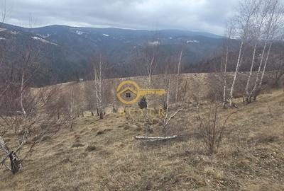 Spațiu comercial, în Rășinari - 3