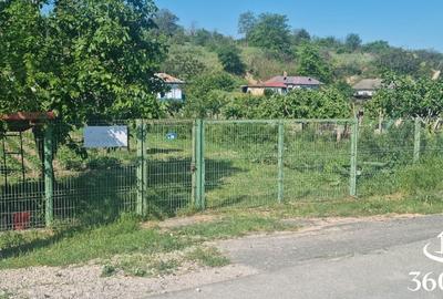 Casă cu 3 camere cu Teren 2400 Mp în Mahmudia - 2