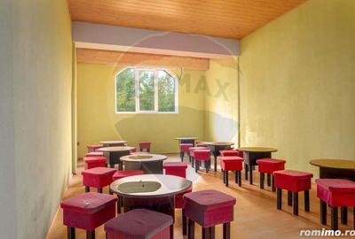 Casă cu 23 camere cu Teren 6177 Mp în Domnești - 17