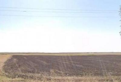 Teren extravilan cota parte 3/16 Amaru, ID: R2764932 - 3