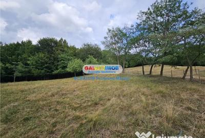 Teren de 2700 mp, în Curtea de Argeș - 8