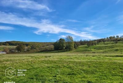 Spațiu comercial, în Cuveșdia