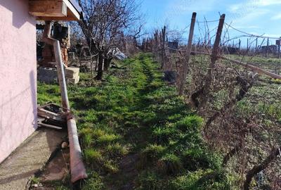 Casă cu 3 camere în Central - 2