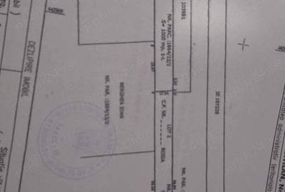 Teren de 1000 mp, în Daia - 3