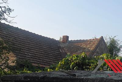 Casa si gradina cu livada 1683 mp - 48.500 euro - Topolovatu Mare - 9