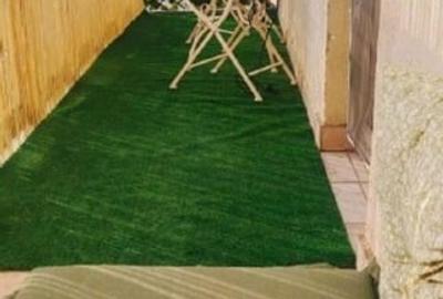 Apartament 2 camere central, P-ta Unirii, mobilat/utilat - 14