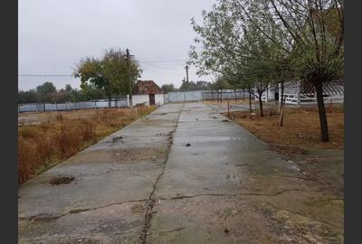 Ferma langa Oravita 5600 mp construiti si teren 24281 intravilan - 8