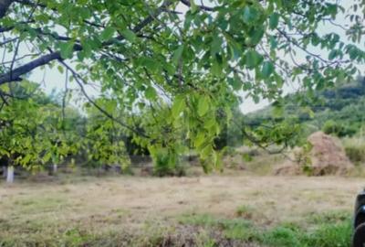 Teren de 1514 mp, în Ștefan cel Mare - 6