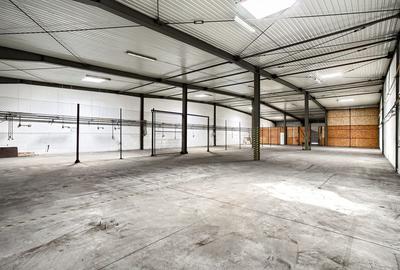 Hală Arad 883 mp - 2