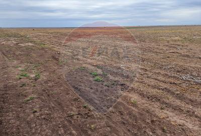 Teren 56,700mp Mischii / Strada Eroilor - 9