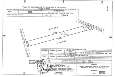 Teren Construcții intravilan de 8650 mp, în Cernica - 2