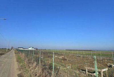 Teren de 582 mp, în Copăceni - 4