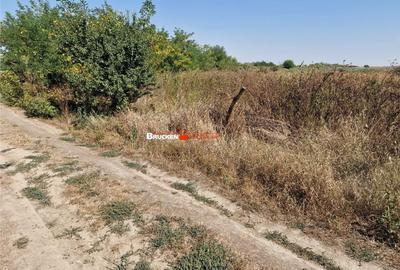 Teren de 1773 mp, în Toboliu - 4