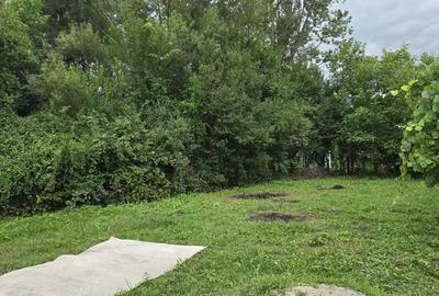 Casă cu 2 camere cu Teren 780 Mp în Simeria - 6