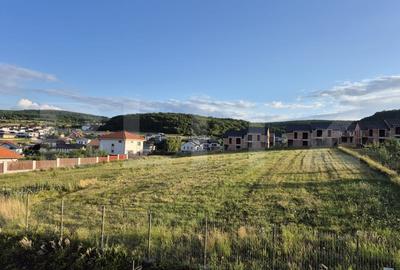 Terenul perfect! 1705 mp, pentru un duplex si o casa individuala, Chinteni! - 1