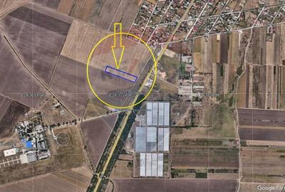 Teren Construcții intravilan de 8000 mp, în Tuzla