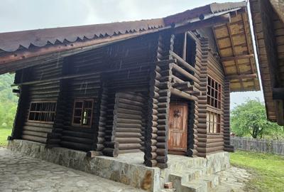 Casă cu 3 camere în Onești - 5