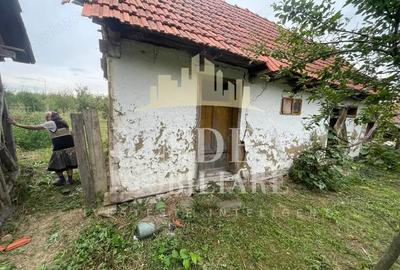 Casa Babsa, comuna Balint 2084mp teren - 8