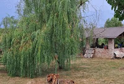 Teren de vanzare Teren de vanzare - 9