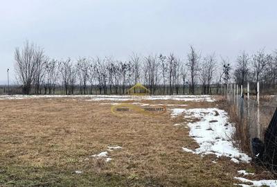 Teren în Săucești - 7