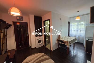 Garsonieră decomandată în Valea Rosie - 4