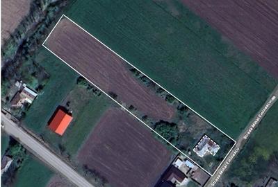 Teren de 4870 mp, în Valea lui Ion - 1