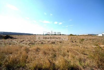 Magurele - Benzinaria Tsv Intravilan 3500 Mp Dubla Deschidere 22/135ml - 4