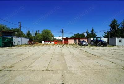 Teren de 4659 mp, în Suplacu de Barcău - 11