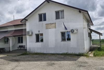 Casă cu 4 camere cu Teren 5423 Mp în Petrești - 1