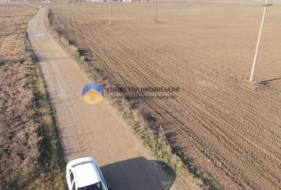 Teren Construcții intravilan de 3600 mp, în Dumbrava Roșie - 5