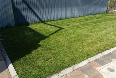 Casă cu 6 camere cu Teren 1350 Mp în Izvorani - 9