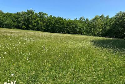 Teren de 3500 mp, în Central - 3