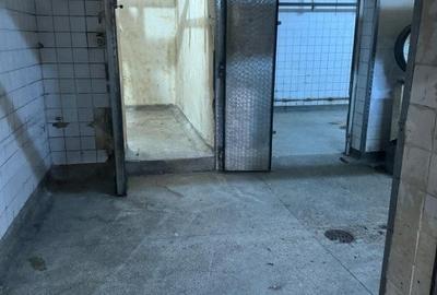 Spatiu comercial de inchiriat - 380 mp, Terezian, Sibiu - 9