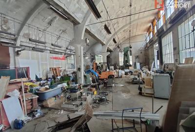 Birou, de 100 mp, în Iosefin - 15