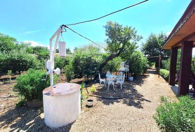 Casa cu teren de vanzare - 3