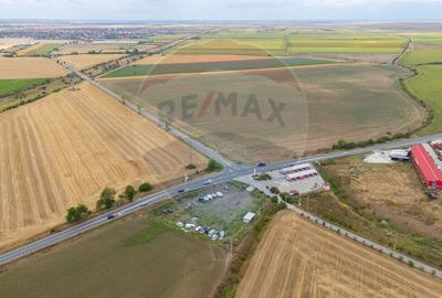 Teren 4.200 mp, intersectie DN Arad - Horia cu -Centura Sanleani - 8