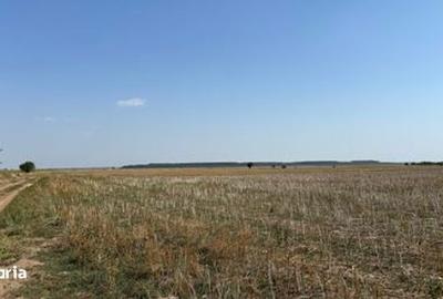 Spațiu comercial, în Central - 2