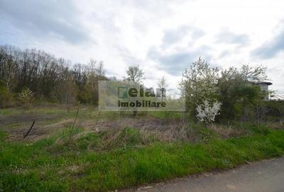 Teren Construcții intravilan de 3200 mp, în Snagov - 4