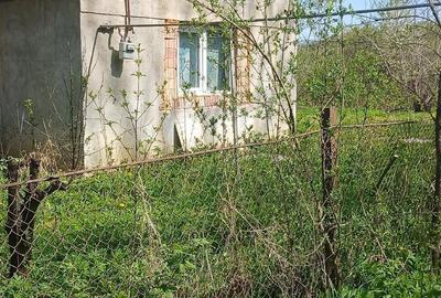 Casă cu 1 camere cu Teren 800 Mp în Central - 2