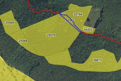 Spațiu comercial, în Central