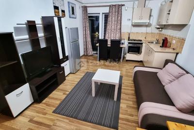 Alexandru - Minerva, studio dublu modern - 1