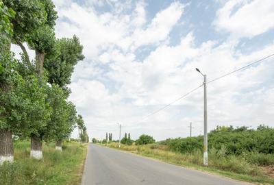 Teren Cernica,pentru Dezvoltare Reziden?iala sau Industria - 14