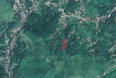 Teren de 6376 mp, în Valea Târsei - 1