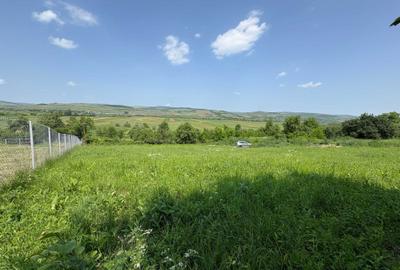 Spațiu comercial, în Iclozel - 6